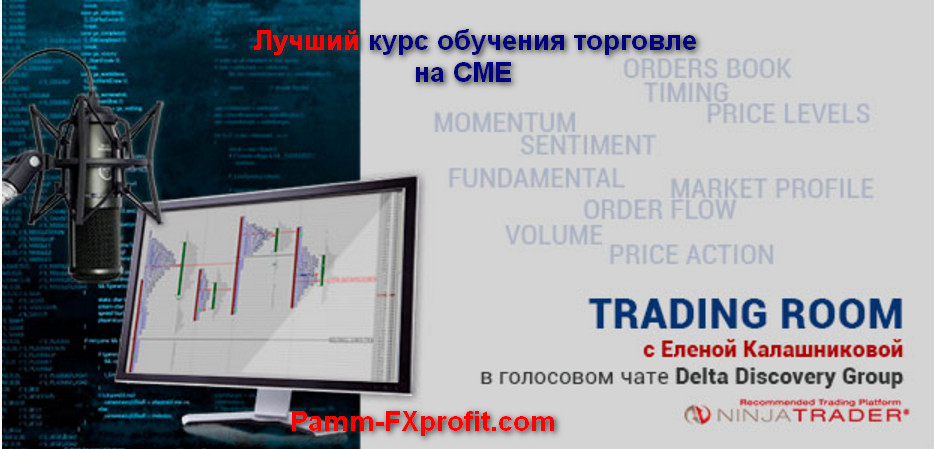 [Елена Калашникова] Понимание рынка от ESDaytrader_0.jpg